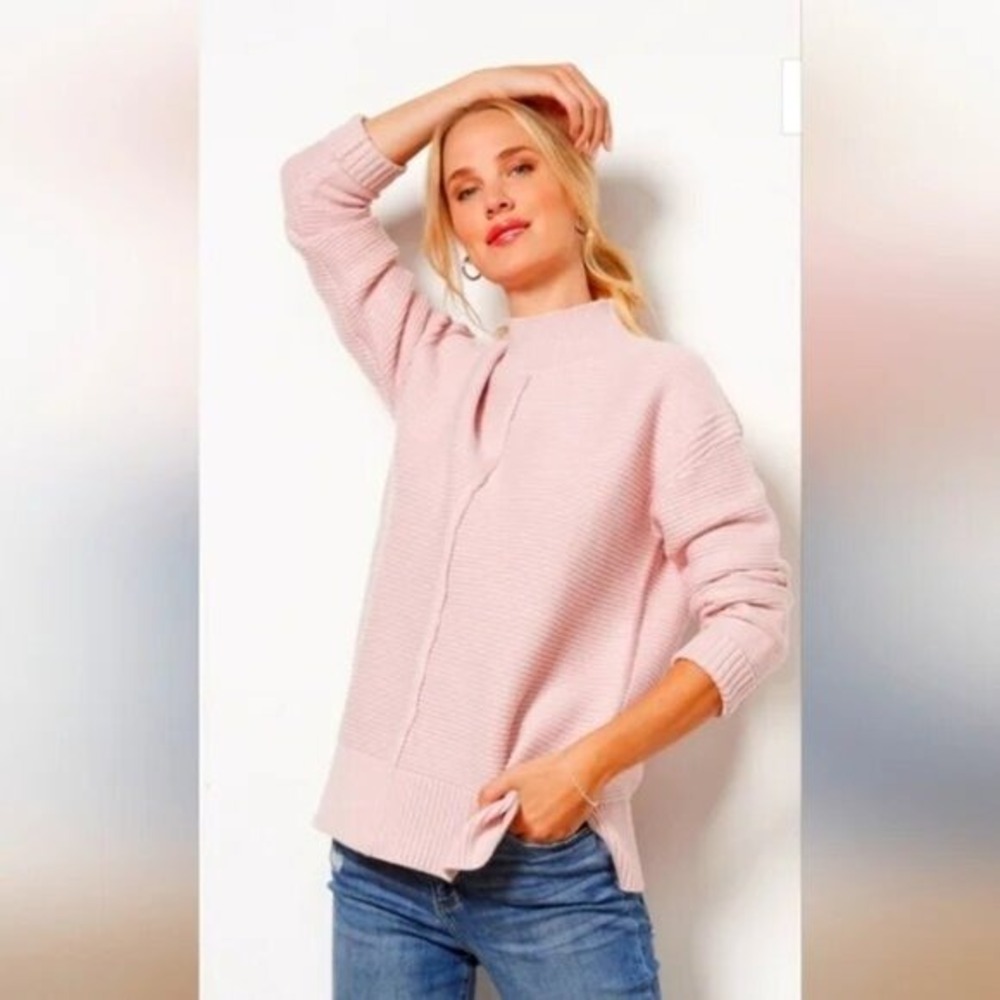 Evereve Foster Turtleneck Ribbed Chunky Knit Sweater Size L
